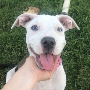 Meet your Posher, Leslie